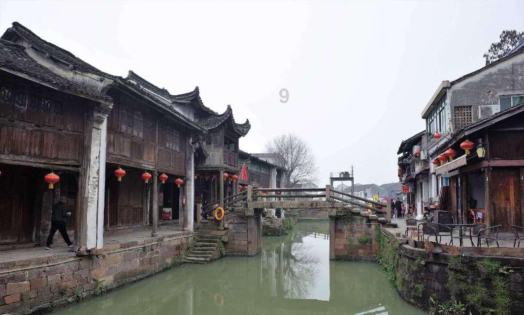 植物大战僵尸